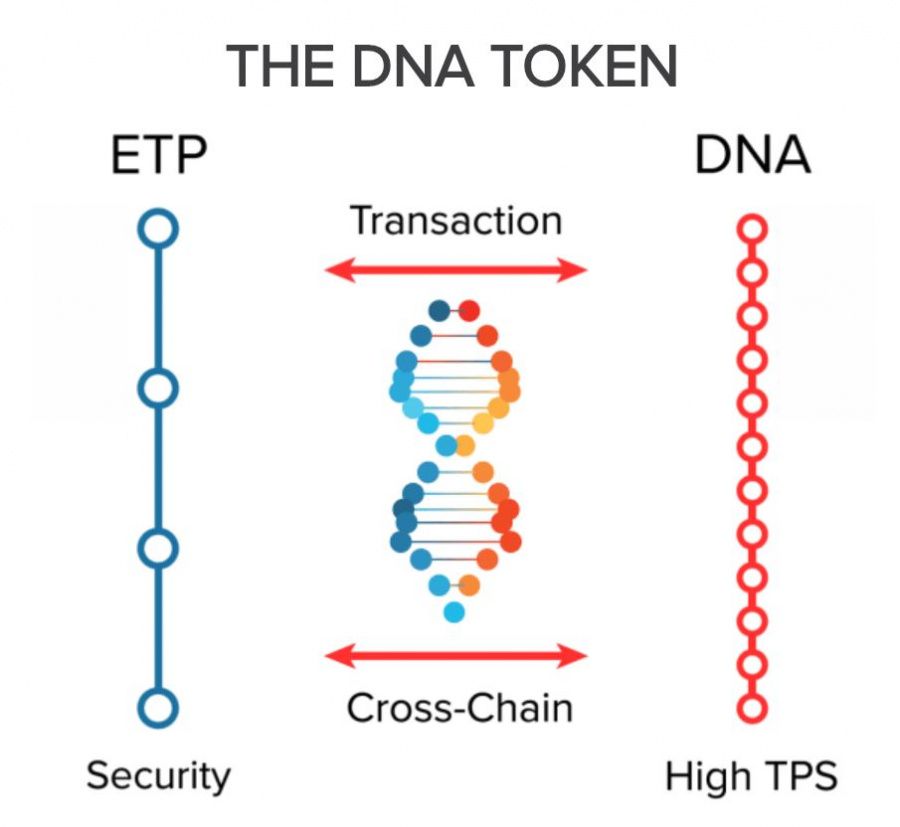 DNA Token