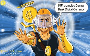 IMF Official Wants Private Companies and Central Banks to Jointly Promote Digital Currencies