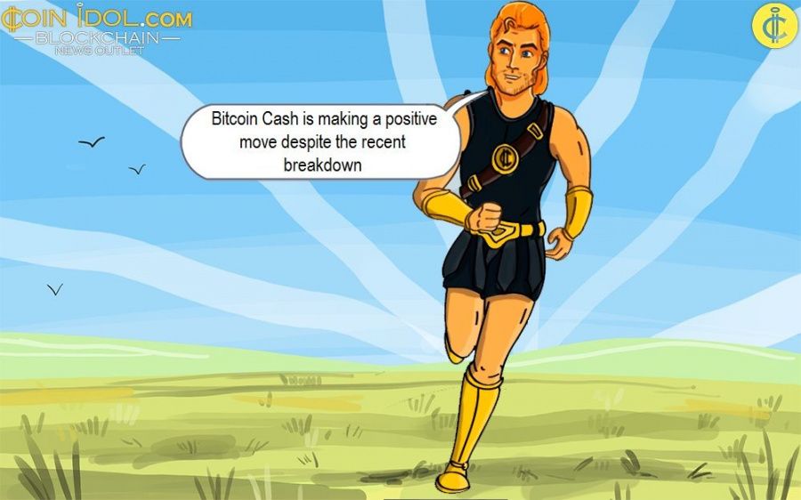 bitcoin cash 13 nov