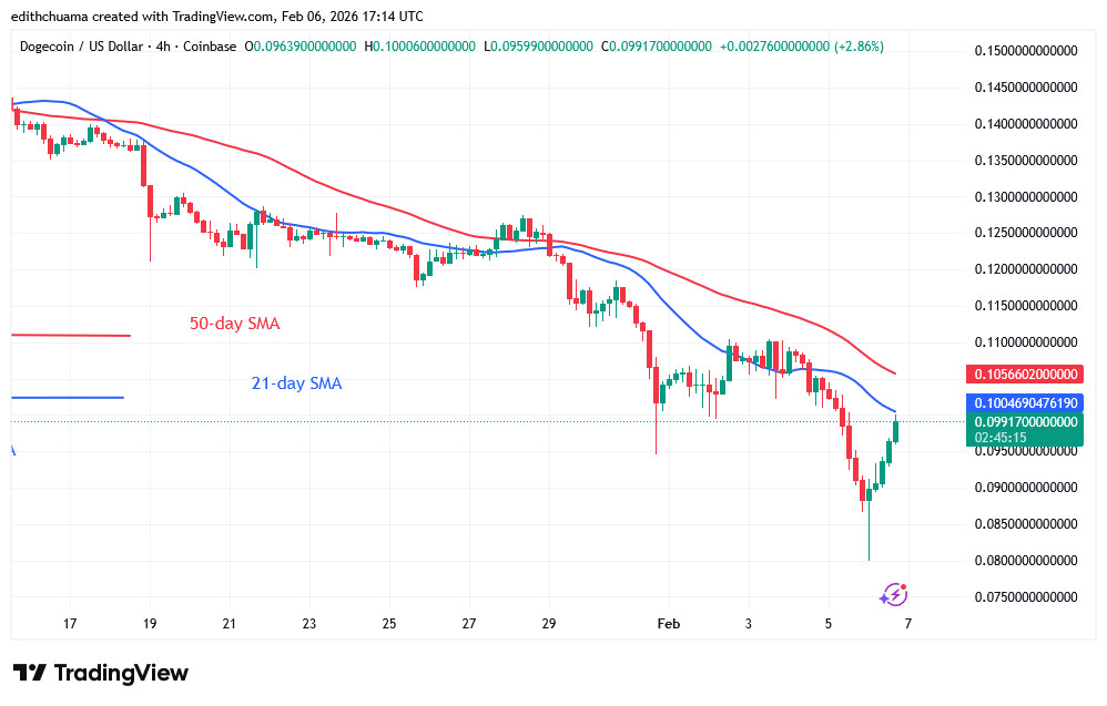 DOGEUSD (4-Hour Chart) - FEB.06, 2026