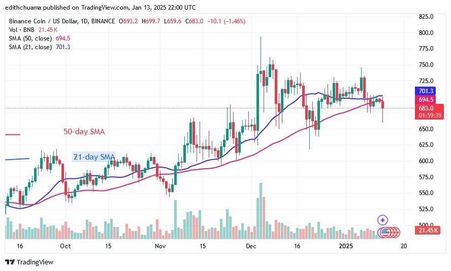 BNBUSD_(Daily Chart)- JAN.13.25.jpg