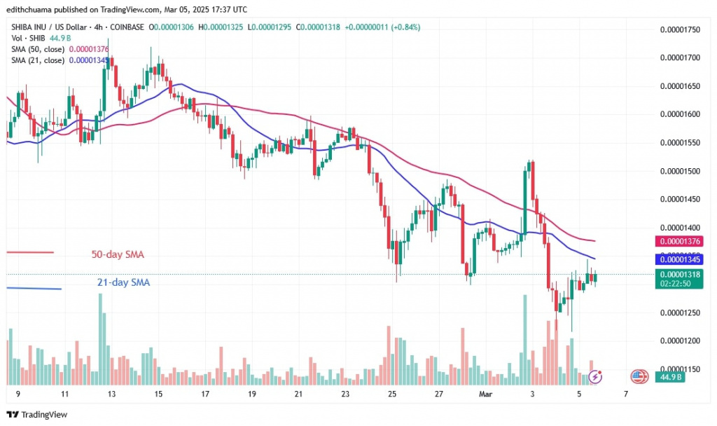 SHIBUSD_(4-Hour Chart) - March 5.jpg