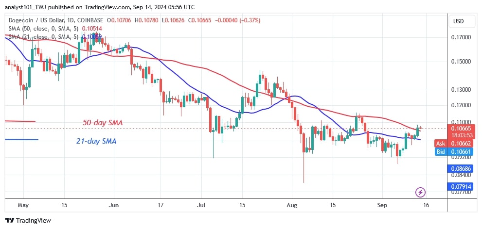 DOGEUSD_( Daily chart) - Sept.14.jpg