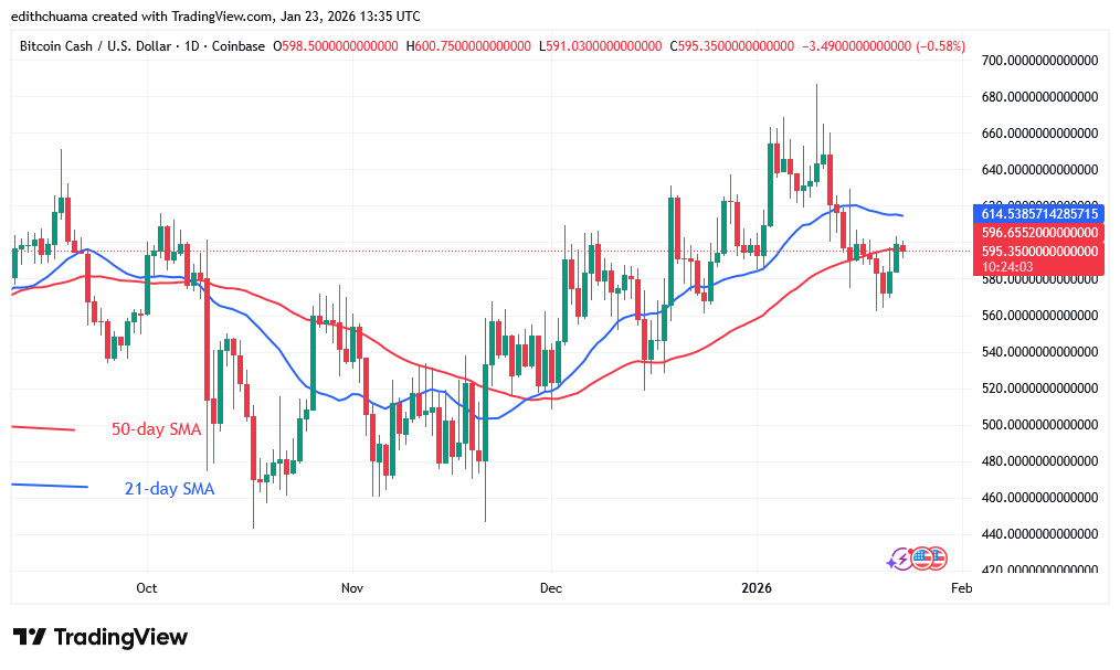 BCHUSD (Daily Chart) -JAN.23, 2026