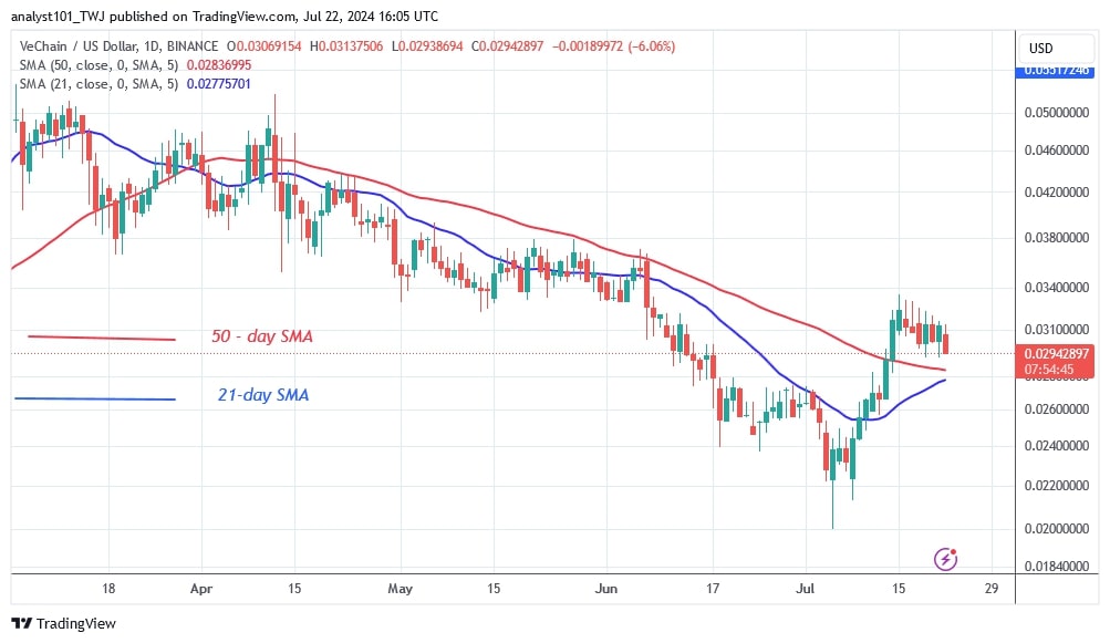 VETUSD_(Daily Chart) – July 22.jpg