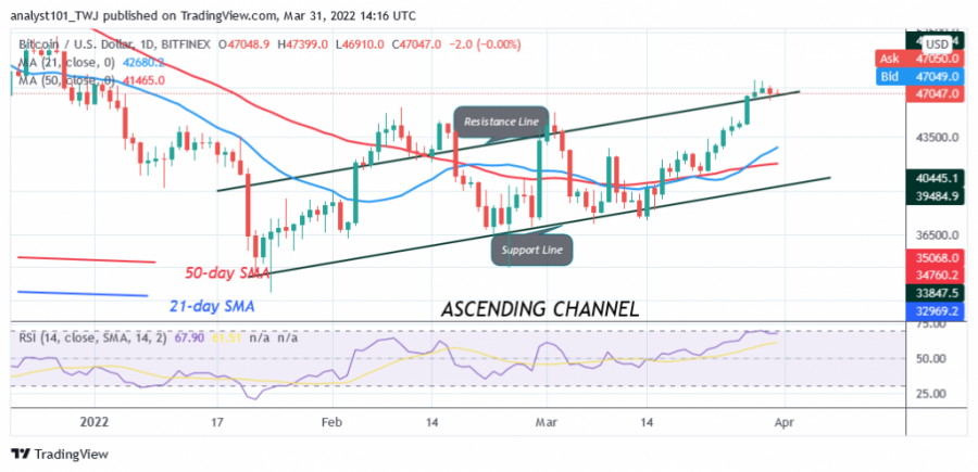 BTCUSD(Daily_Chart)_-_March_31.png