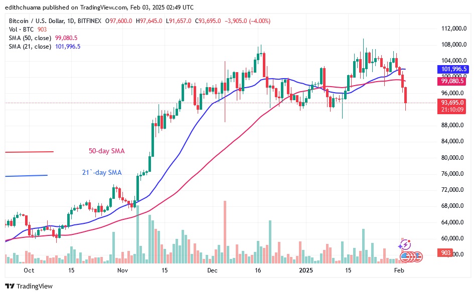 BTCUSD_(Daily Chart) - FEB.03.25.jpg