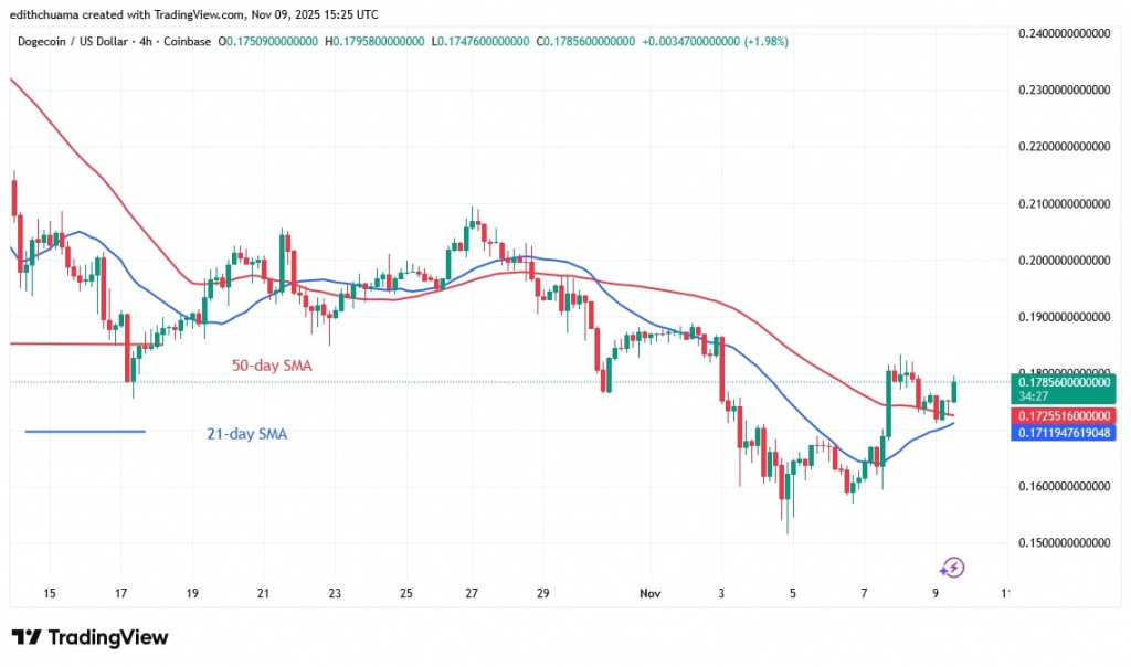 DOGEUSD_( 4_hour Chart)-NOVE. 9, 2025 DOGEUSD_( 4_hour Chart)-NOVE. 9, 2025