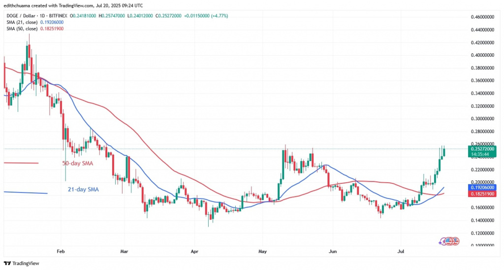 DOGEUSD_(Daily Chart) - July 20, 2025