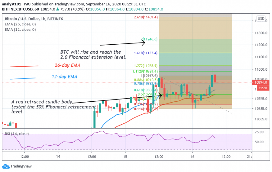 BTC-_Coinidol_(2_vChart).png