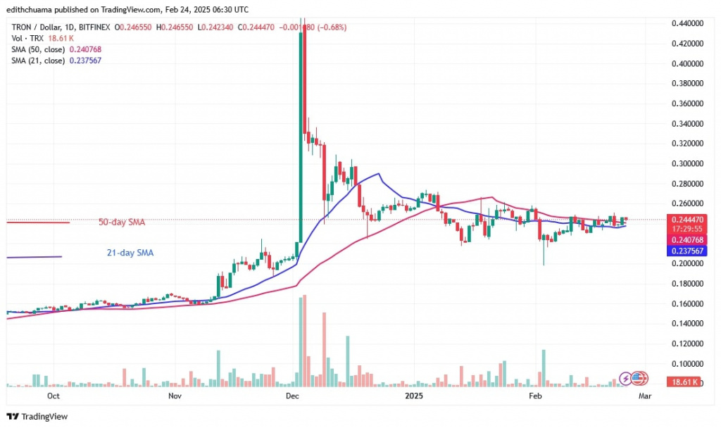 TRXUSD_(Daily Chart) - FEB.24.jpg