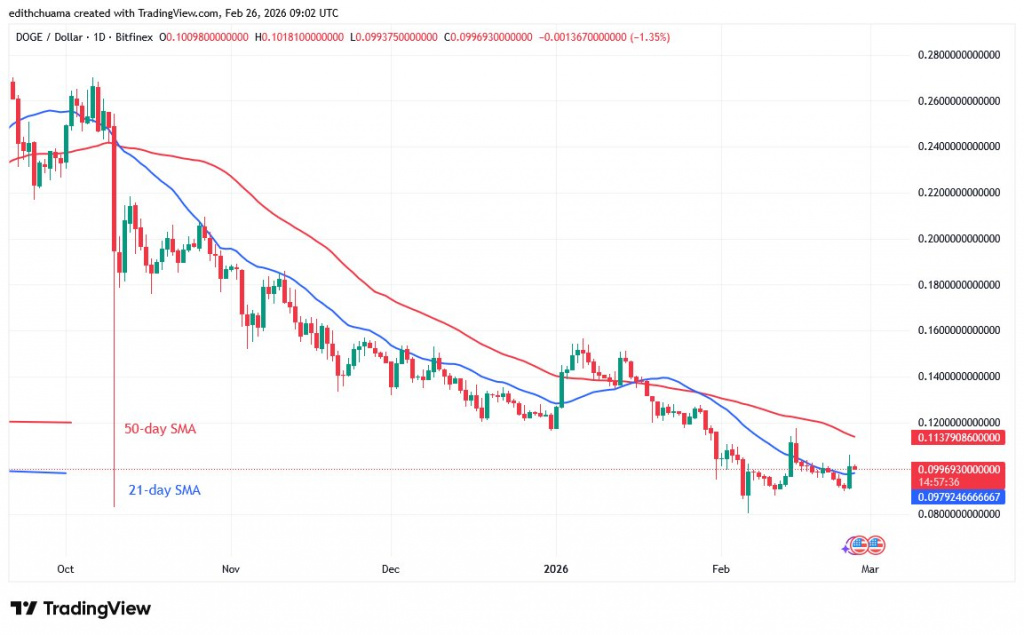 DOGEUSD_(Daily Chart) - FEB.26, 2026