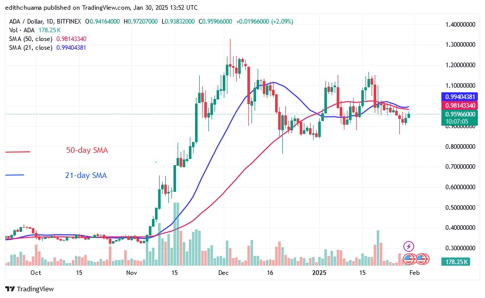 ADAUSD_(Daily Chart) - JAN.30.25.jpg