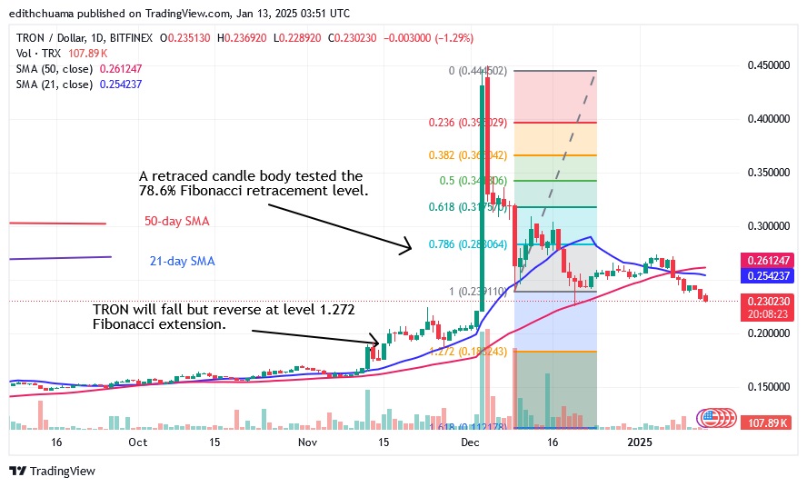 TRXUSD_(Daily Chart) - JAN.13.25.jpg