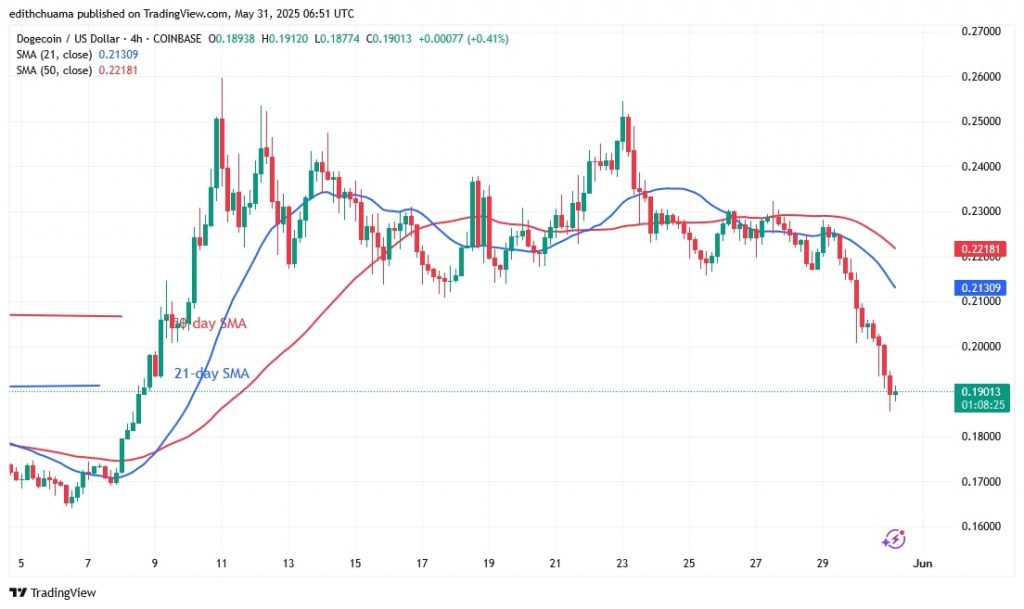 DOGEUSD_( 4-Hour Chart) - May 31.jpg