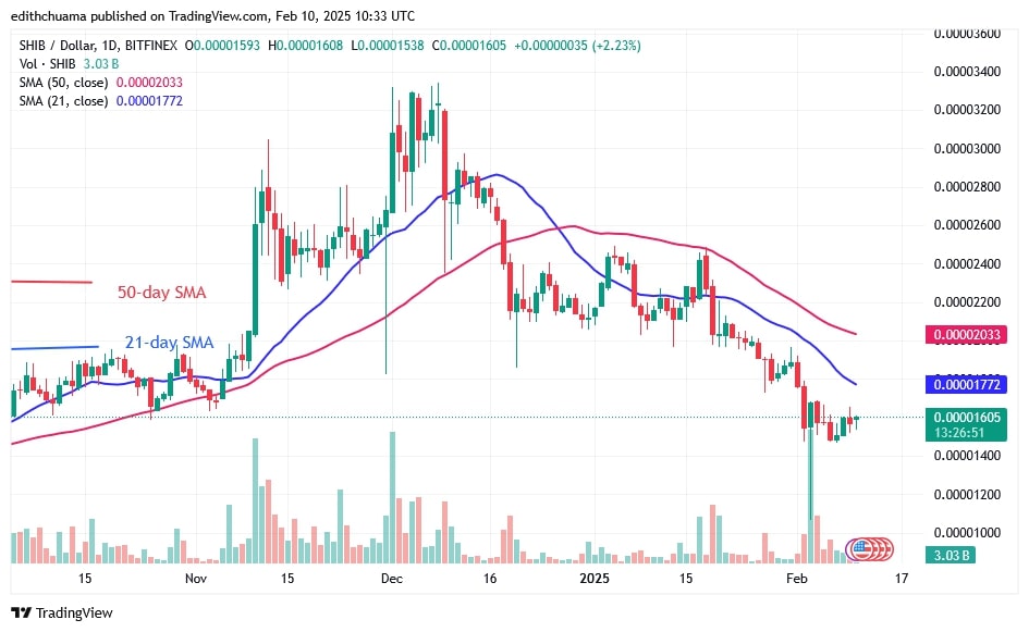 SHIBUSD_(Daily Chart) - FEB.10.jpg