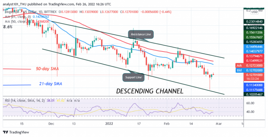 DOGEUSD(_Daily_Chart)_-_FEB._26.png