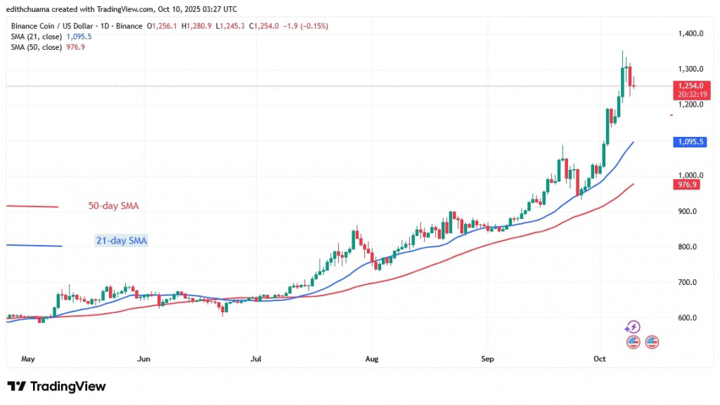 BNBUSD_(Daily Chart) – OCT.10, 2025