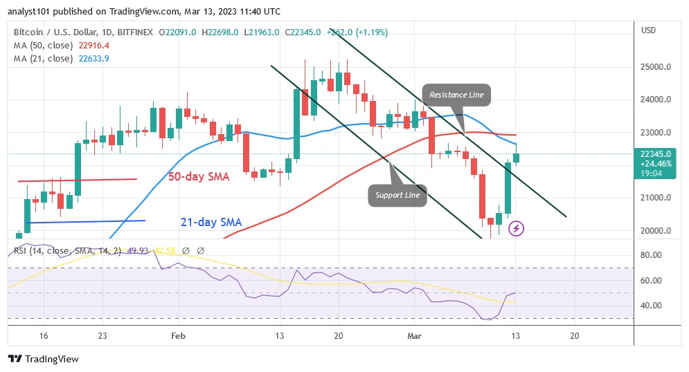 BTCUSD(Daily Chart) - March 13.23.jpg