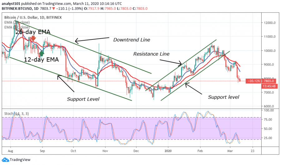 BTC-CoinIdol (1).png