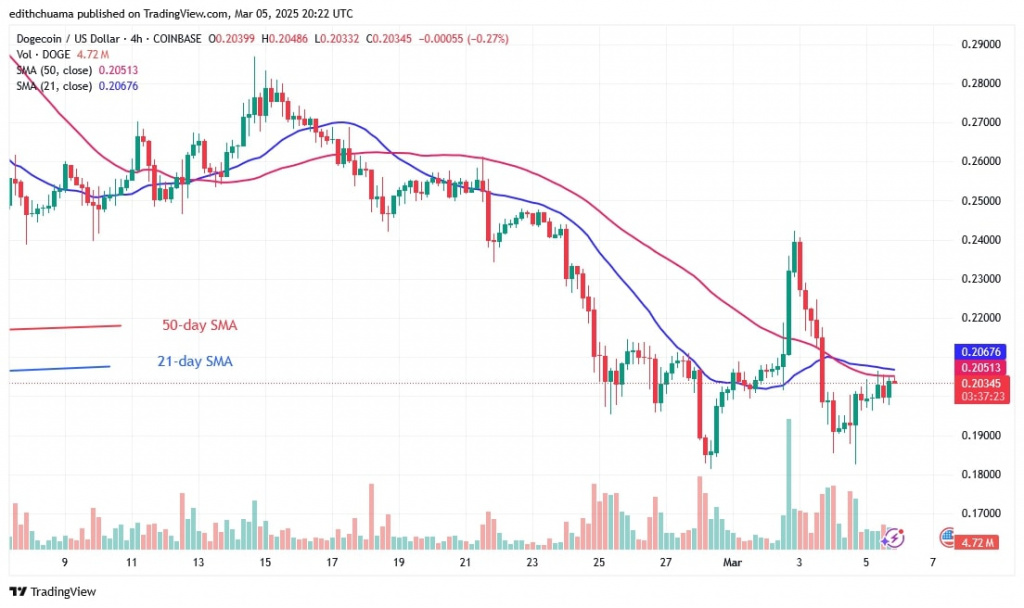 DOGEUSD_(4-hour Chart) -March 5.jpg