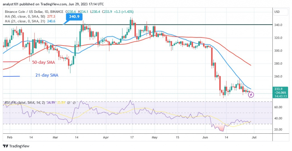 BNBUSD_(Daily Chart) – June 29.23.jpg