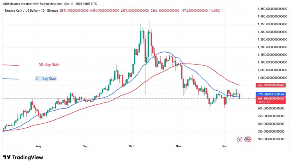 BNBUSD_(Daily Chart) - DEC.11, 2025