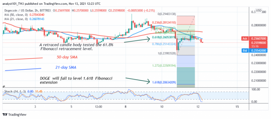 DOGEUSD(_2_Hour_Chart)_-_NOV._13.png