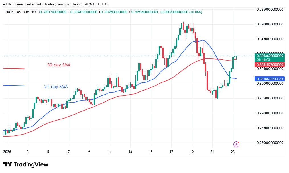 TRXUSD_(4-Hour Chart) - JAN 23, 2026 TRXUSD_(4-Hour Chart) - JAN 23, 2026