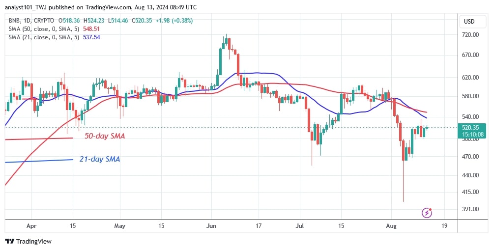 BNBUSD (Daily Chart) –AUG.13.jpg