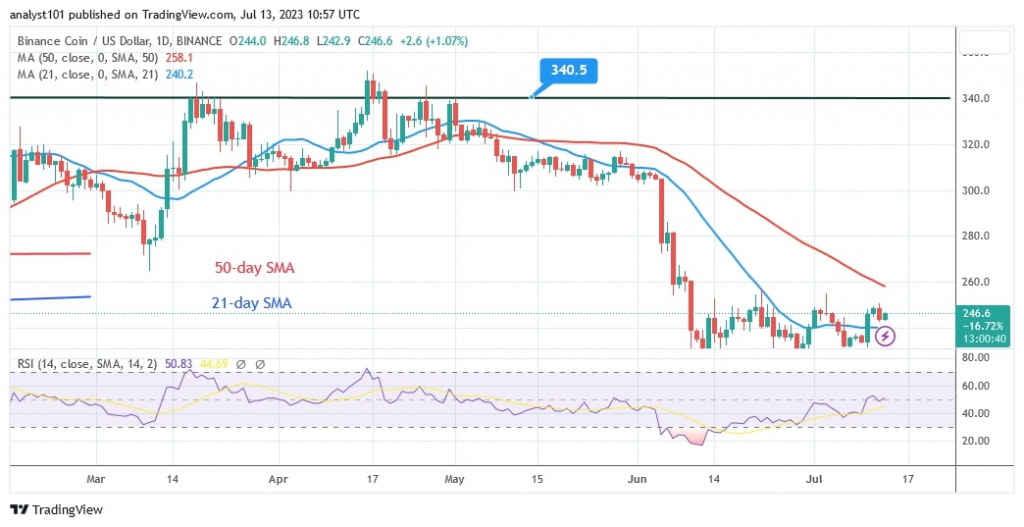 Binance coin, July 13, Daily chart