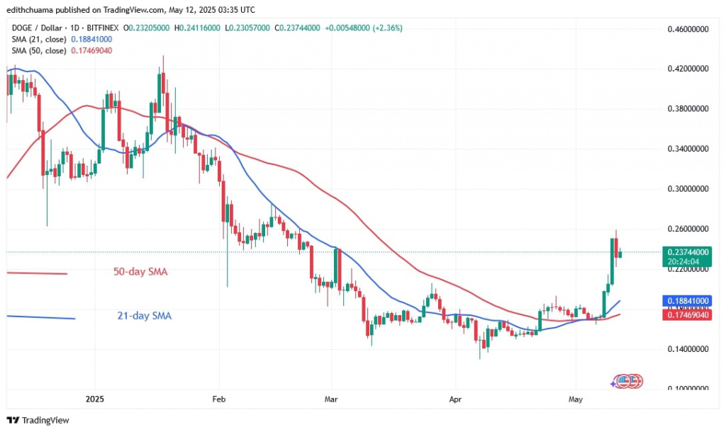DOGEUSD_(Daily Chart) - May 12.jpg