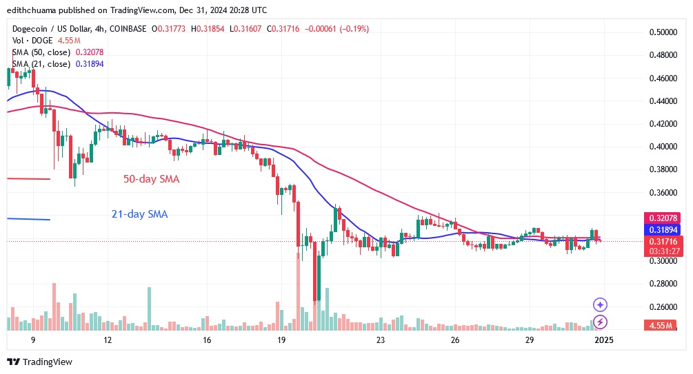 DOGEUSD_( 4-hour Chart) -DEC.31.24.jpg