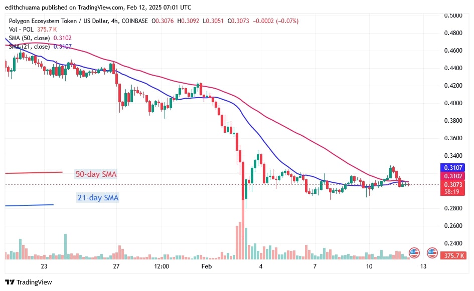 POLUSD_(4-Hour Chart) - FEB.12.jpg