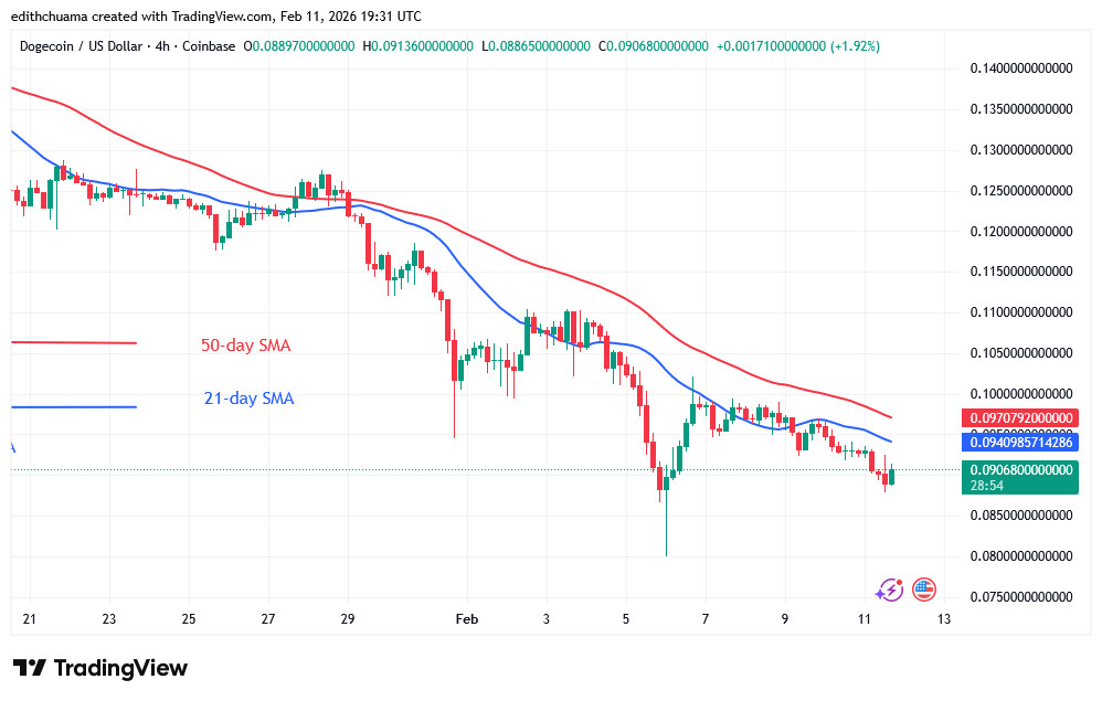 DOGEUSD_(4 hour Chart) FEB.11, 2026