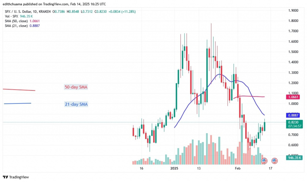 SPXUSD_(Daily Chart) – FEB. 14.jpg