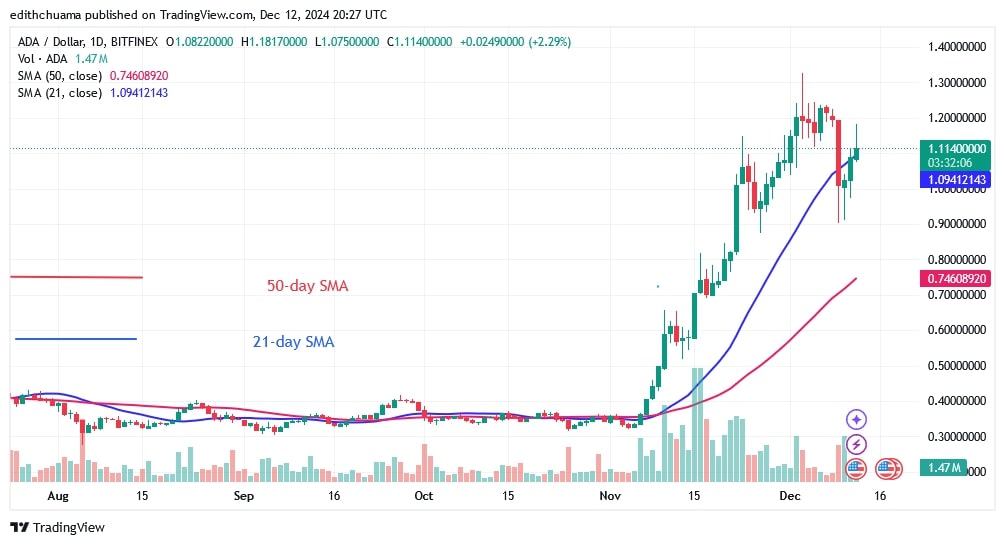 ADAUSD_(Daily Chart) - DEC,12.jpg