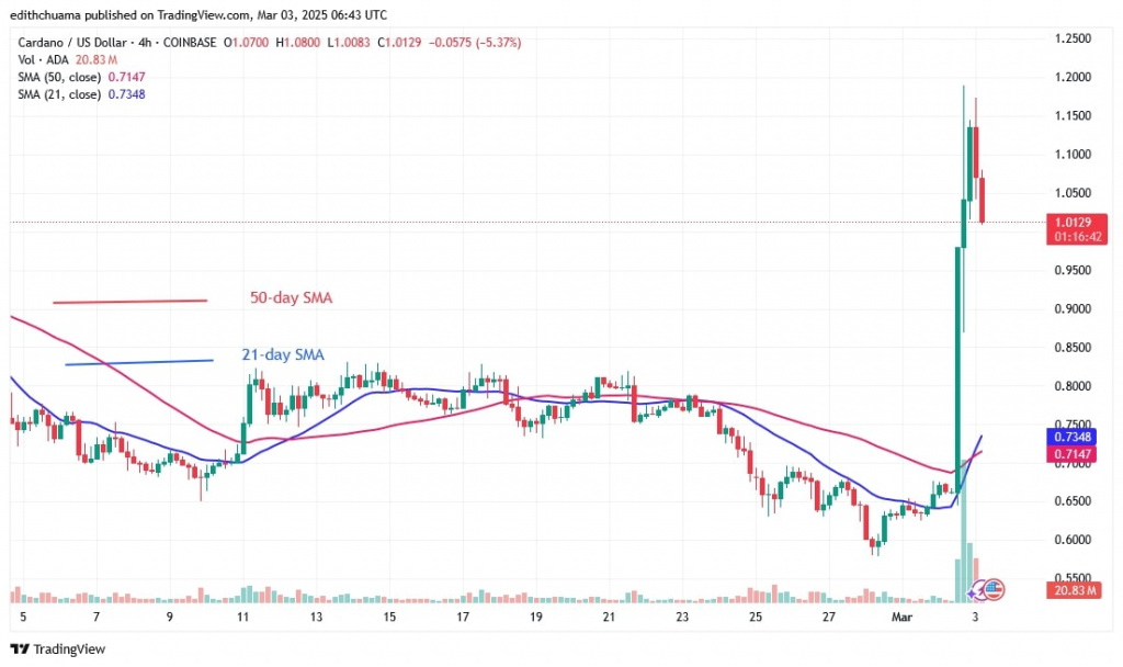 ADAUSD_(4-hour Chart) - March 3.jpg