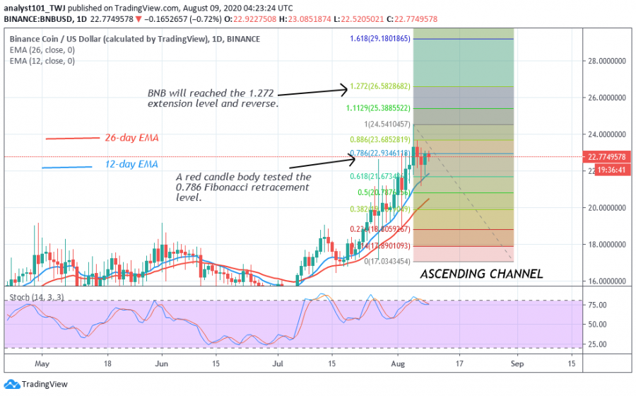 BNB-CoinIdol(2 Chart).png