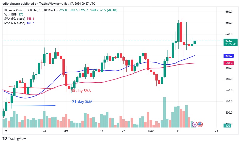 BNBUSD (Daily Chart) –19.11.jpg