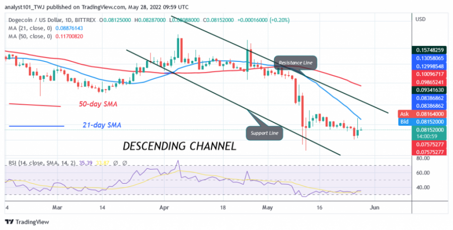 DOGEUSD(Daily+Chart)+-+May+28.png