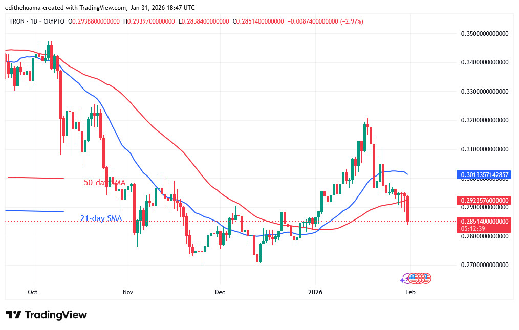 TRXUSD_(Daily Chart) – JAN.31, 2026 TRXUSD_(Daily Chart) – JAN.31.jpg