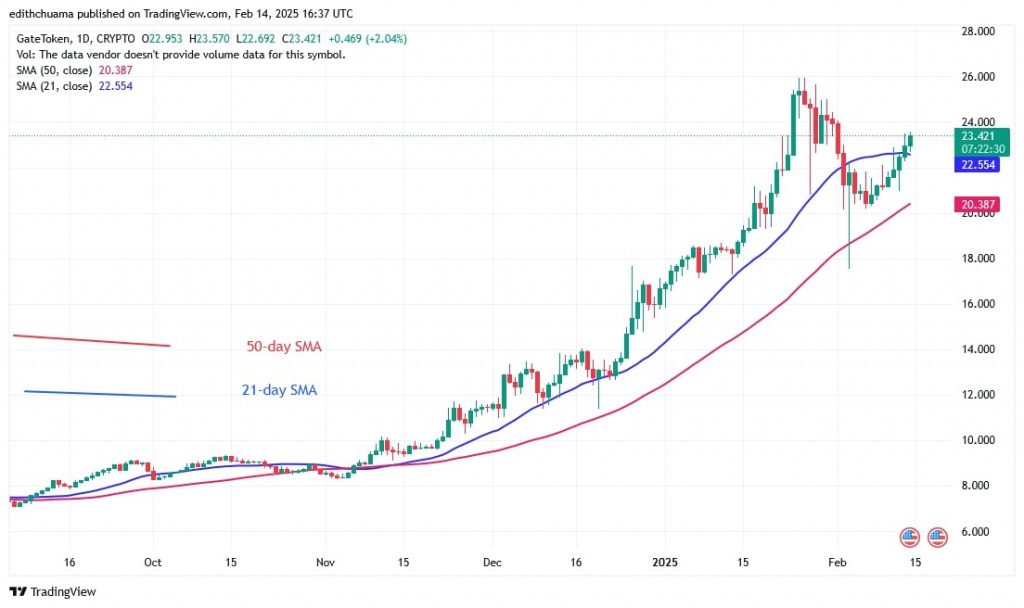 GTUSD_(Daily Chart) – FEB. 14.jpg