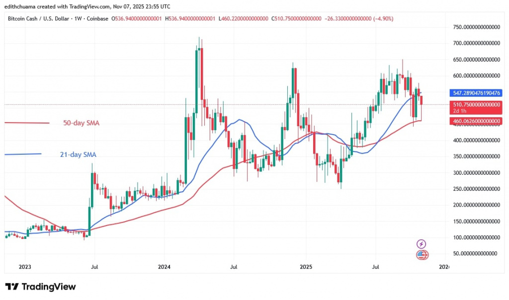 BCHUSD_(Weekly Chart) - NOV.8, 2025 BCHUSD_(Weekly Chart) - NOV.8, 2025