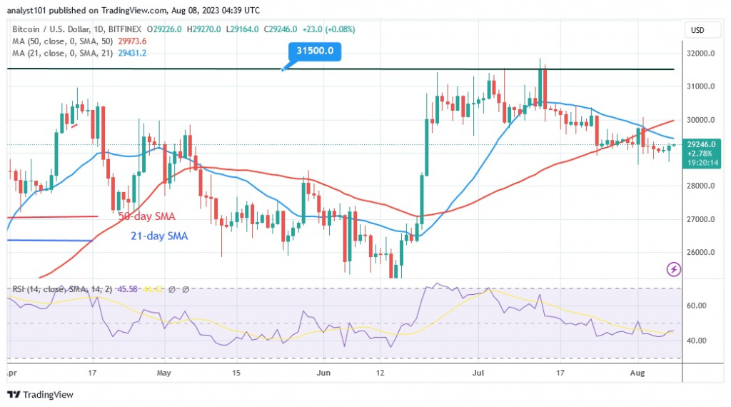 BTCUSD(Daily Chart) – AUG. 8.23.jpg