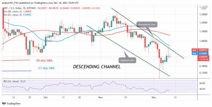 XRPUSD(Daily+Chart)+-+DECEMBER+10.png