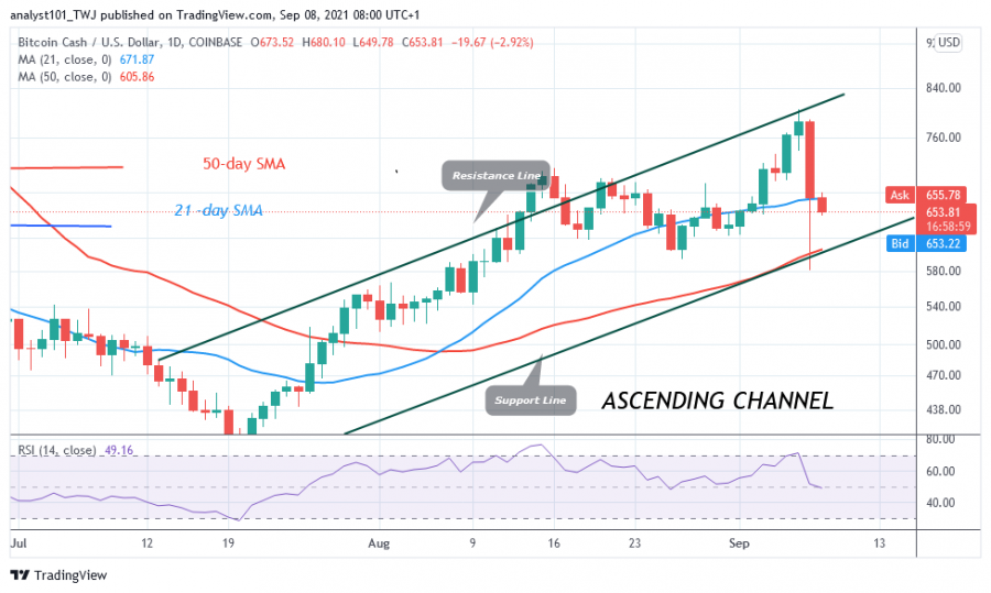 BCHUSD(Daily_Chart)_-_SEPT.8.png