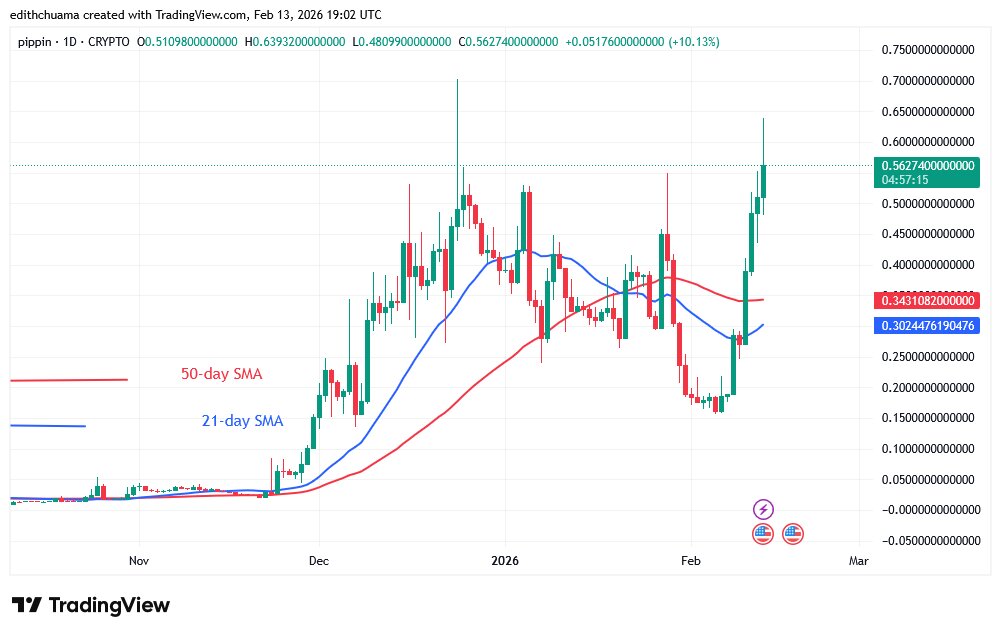 PIPPINUSD_(Daily Chart) – FEB.13, 2026 PIPPINUSD_(Daily Chart) – FEB.13, 2026