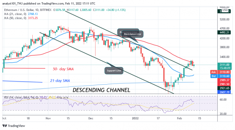 ETHUSD(Daily_Chart)_-_FEB._11.png