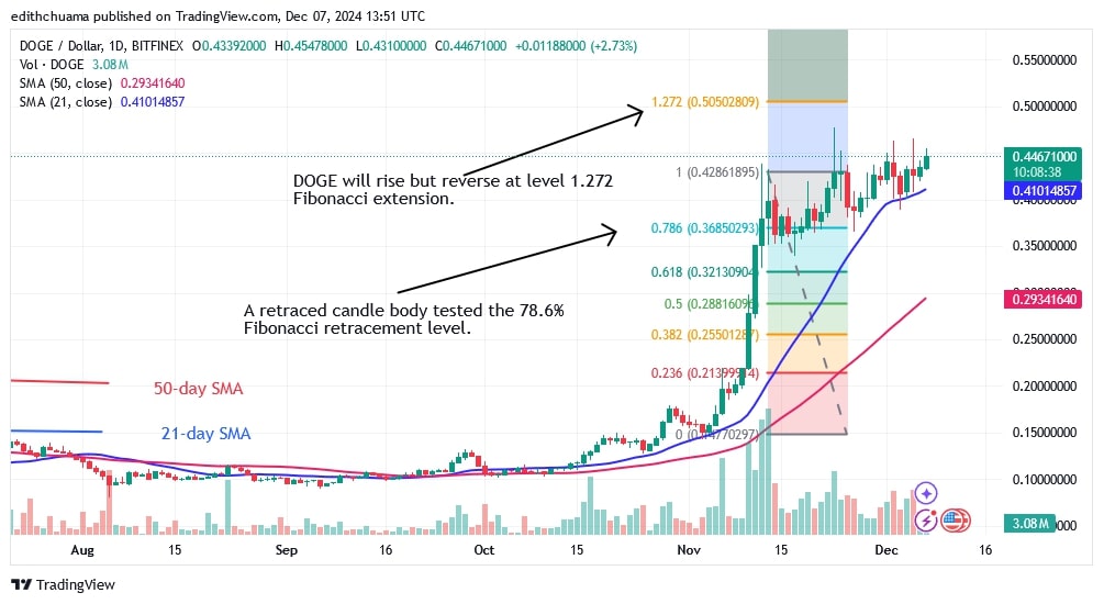 DOGEUSD_(Daily Chart) - DEC.07.jpg